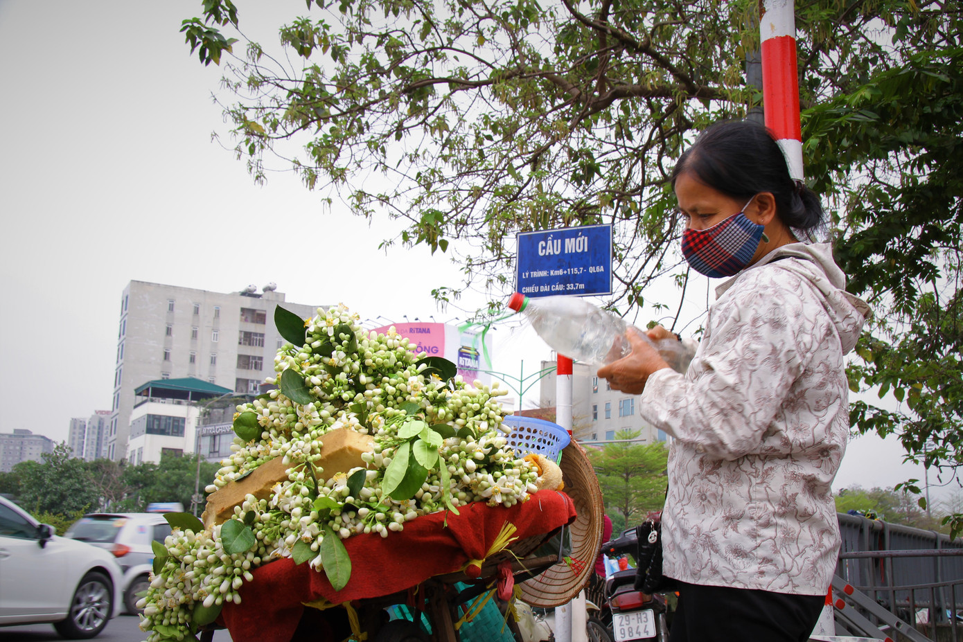 Hà Nội mùa hoa bưởi ngát hương ảnh 2
