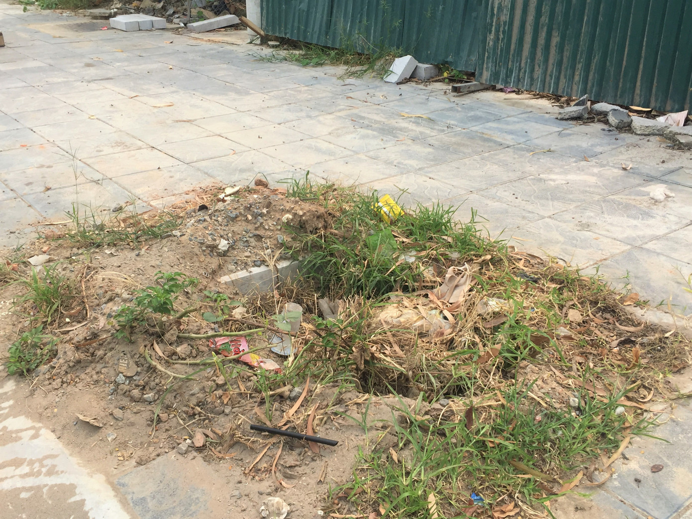 Hố trồng cây trên đường 'trăm tỷ' ở Hà Nội biến thành bãi rác ảnh 2