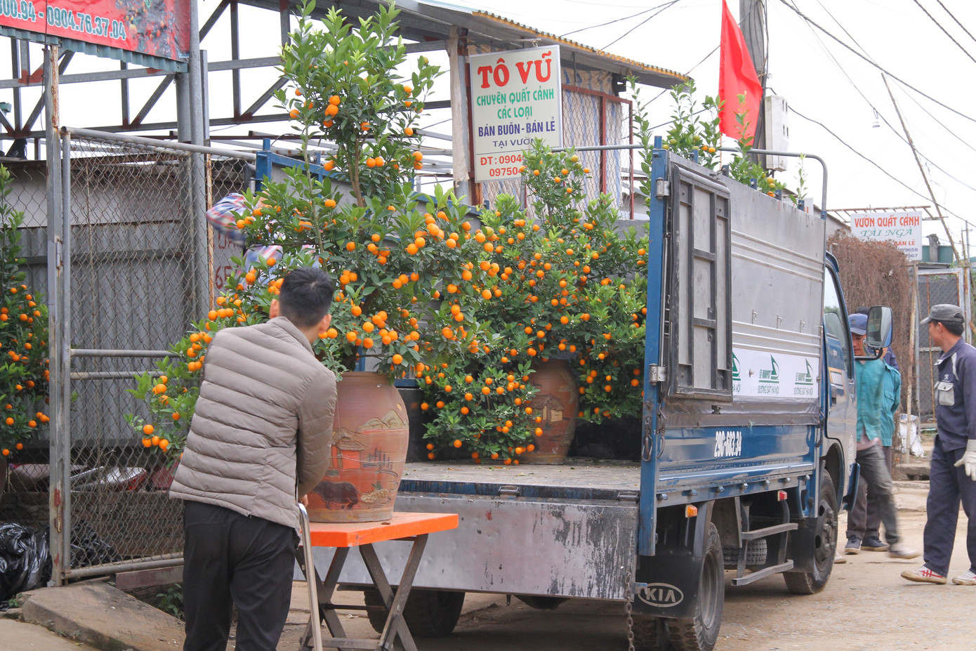 Dịch vụ chở cây cảnh ‘hốt bạc’ những ngày cận Tết ảnh 8