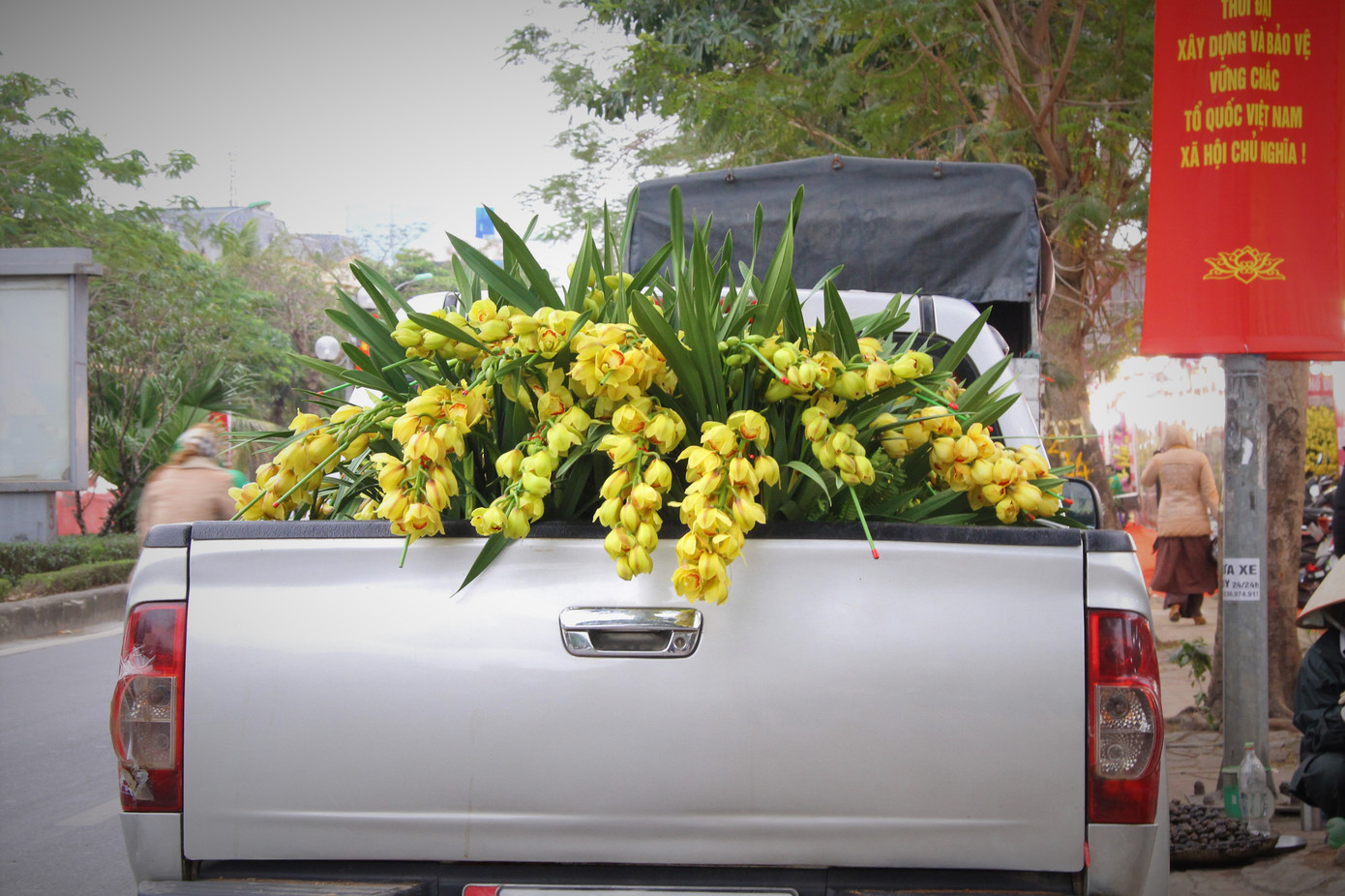 Hoa lan ồ ạt 'xuống phố', người dân Thủ đô thoải mái tuyển lựa mẫu mã ảnh 18