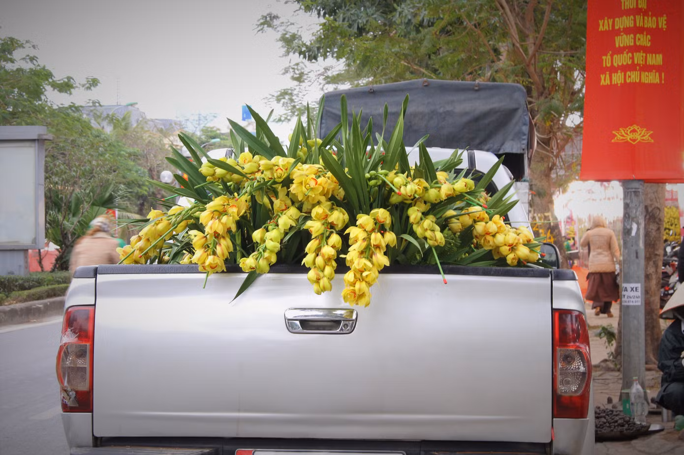 Hoa lan ồ ạt 'xuống phố', người dân Thủ đô thoải mái tuyển lựa mẫu mã ảnh 18