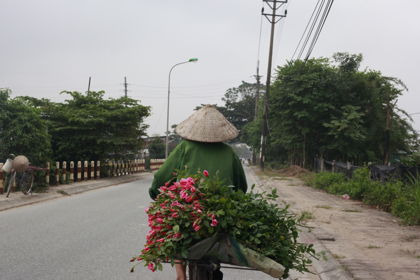 Làng Tây Tựu bận rộn, giá hoa tăng cao cận ngày 20/11 ảnh 4