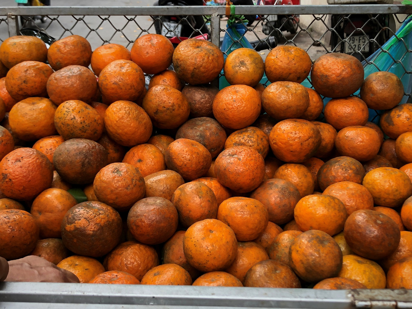 Hoa quả giá rẻ không rõ nguồn gốc bán trên phố Hà Nội vẫn hút khách ảnh 12