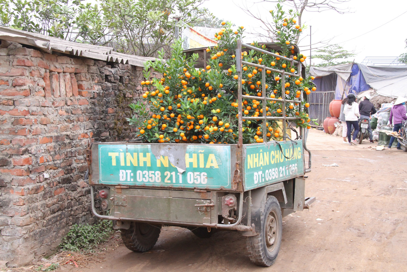 Dịch vụ chở cây cảnh ‘hốt bạc’ những ngày cận Tết ảnh 7