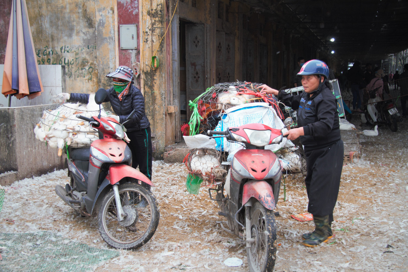 Chợ gia cầm lớn nhất miền Bắc tất bật những ngày cận Tết ảnh 5