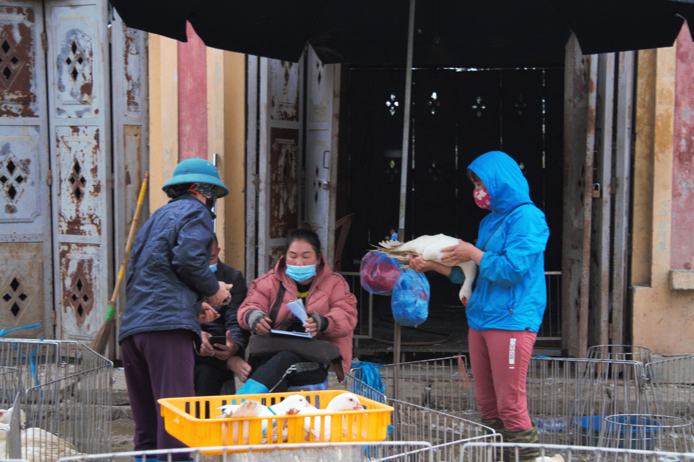 Chợ gia cầm lớn nhất miền Bắc tất bật những ngày cận Tết ảnh 10