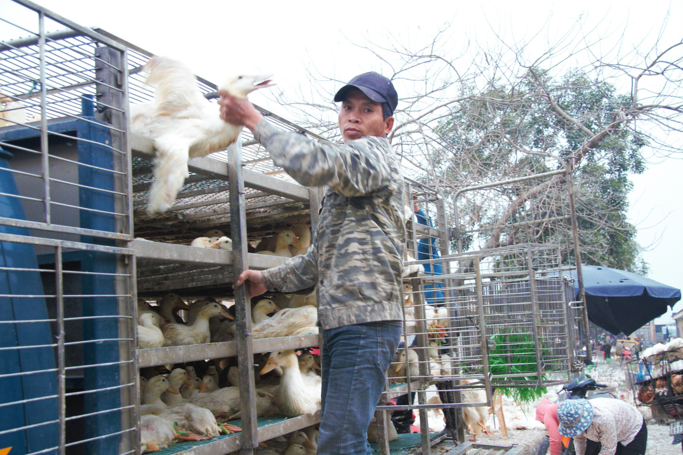 Chợ gia cầm lớn nhất miền Bắc tất bật những ngày cận Tết ảnh 12