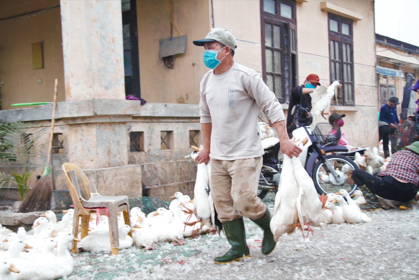 Chợ gia cầm lớn nhất miền Bắc tất bật những ngày cận Tết ảnh 6