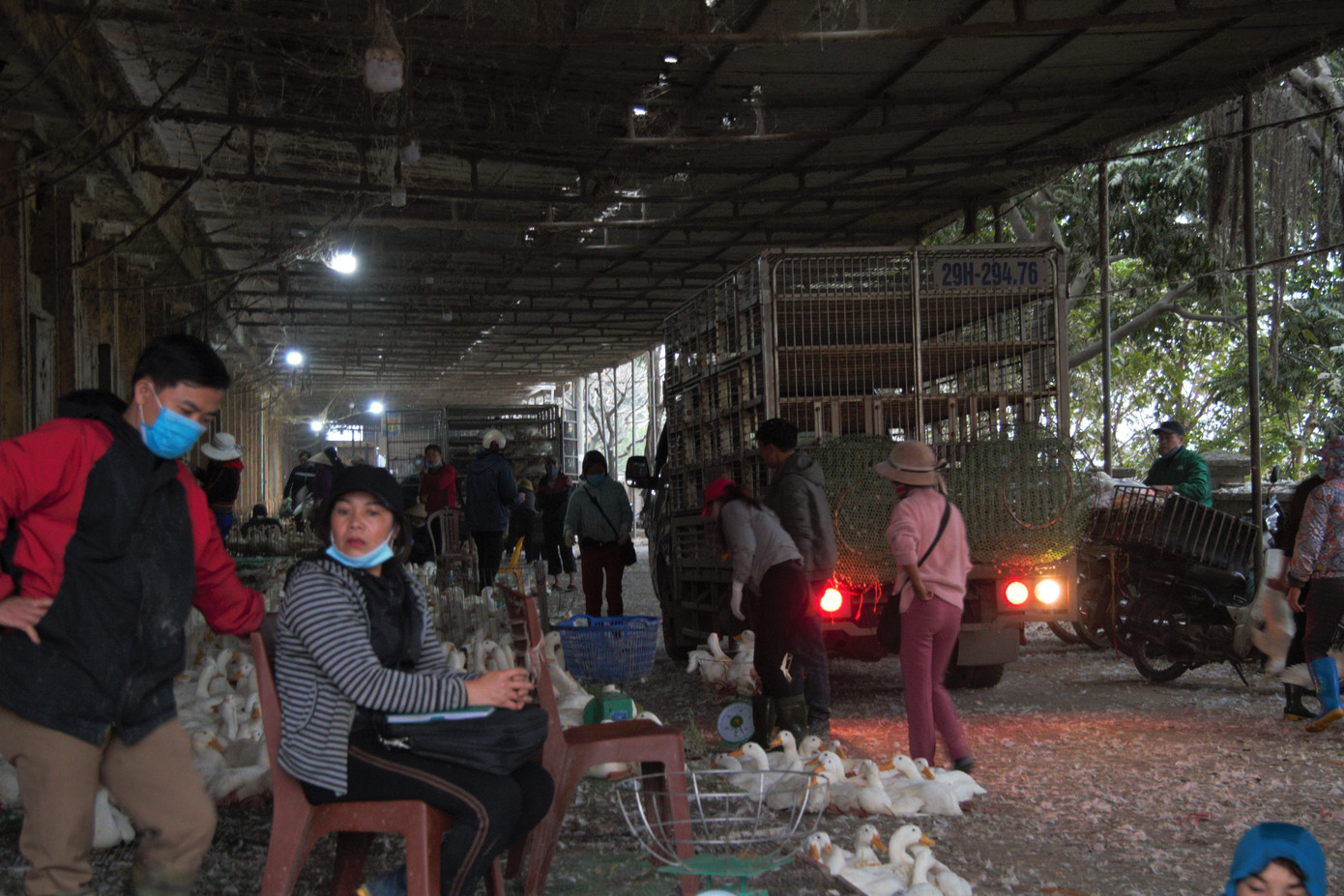 Chợ gia cầm lớn nhất miền Bắc tất bật những ngày cận Tết ảnh 16