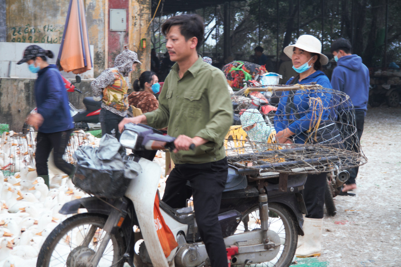 Chợ gia cầm lớn nhất miền Bắc tất bật những ngày cận Tết ảnh 8