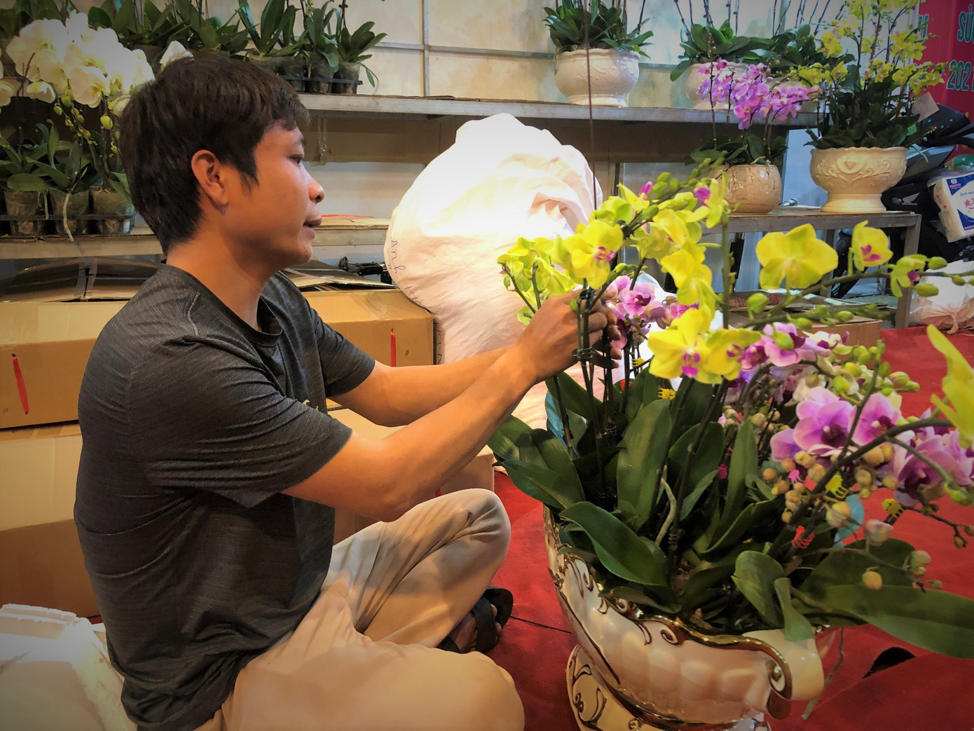 Hoa lan ồ ạt 'xuống phố', người dân Thủ đô thoải mái tuyển lựa mẫu mã ảnh 2