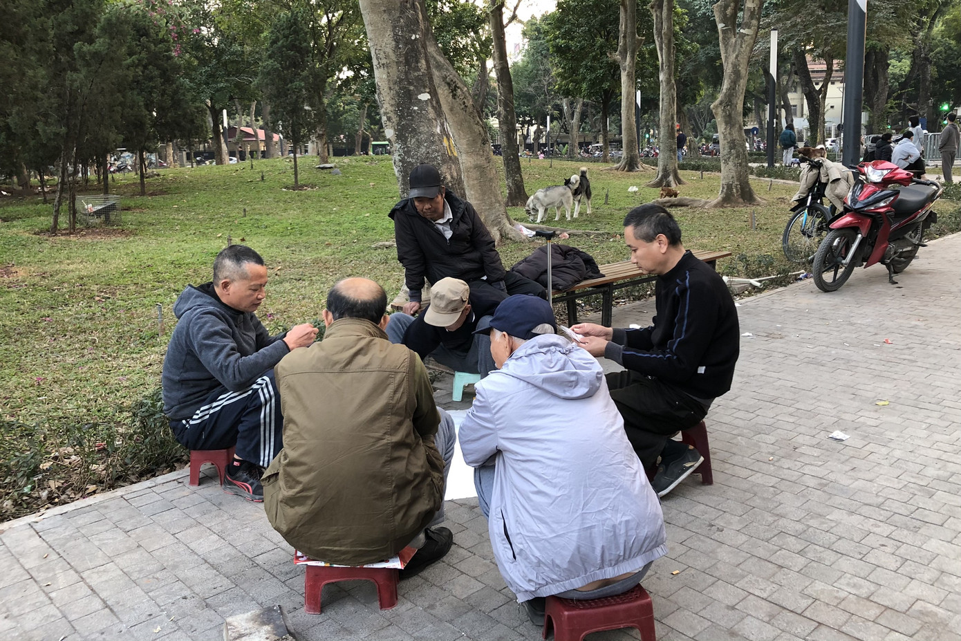 Đối diện mức phạt tiền triệu, nhiều người dân vẫn không đeo khẩu trang ảnh 11