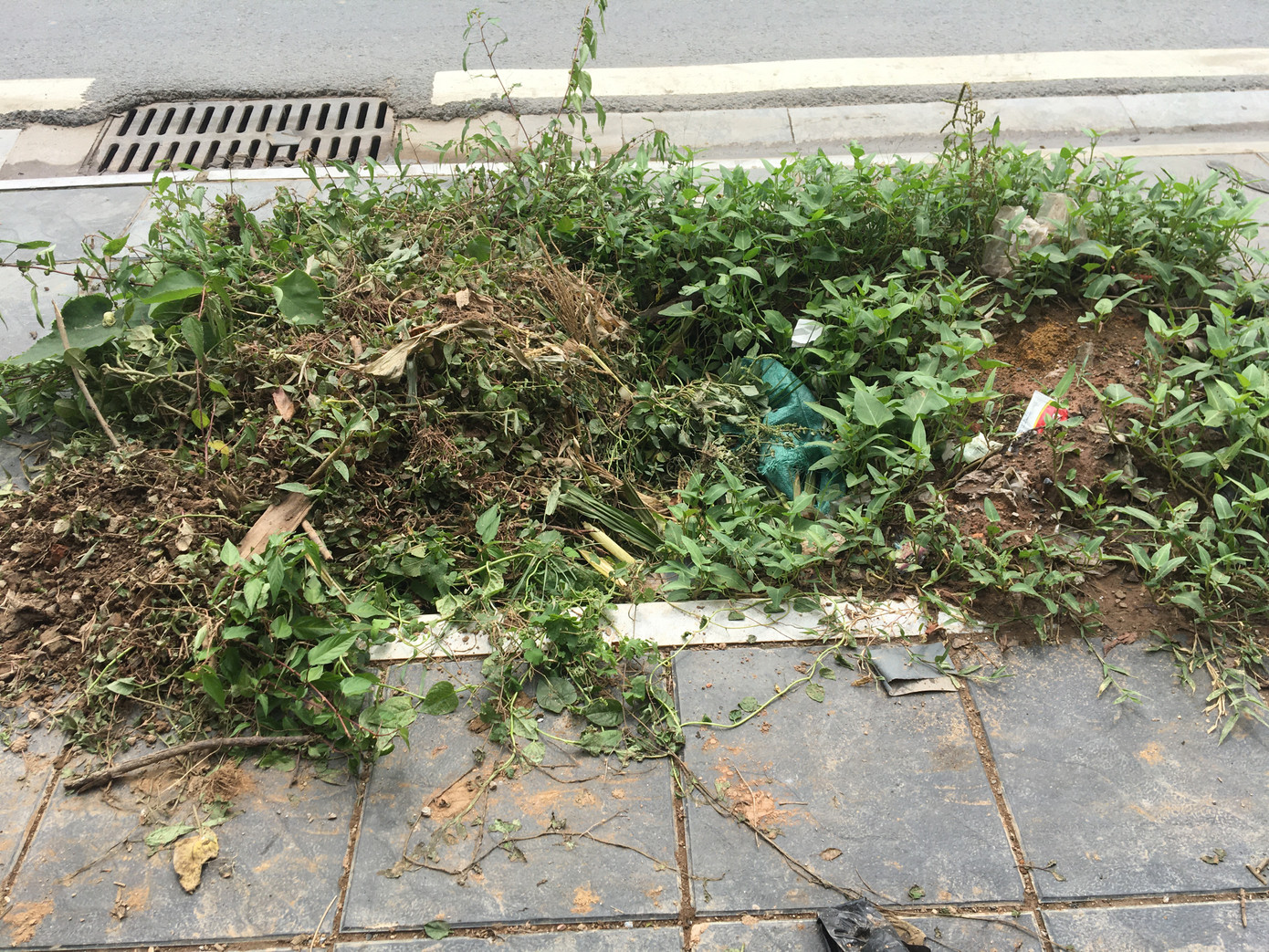 Hố trồng cây trên đường 'trăm tỷ' ở Hà Nội biến thành bãi rác ảnh 3