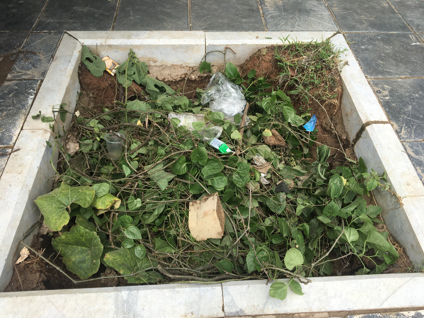 Hố trồng cây trên đường 'trăm tỷ' ở Hà Nội biến thành bãi rác ảnh 7