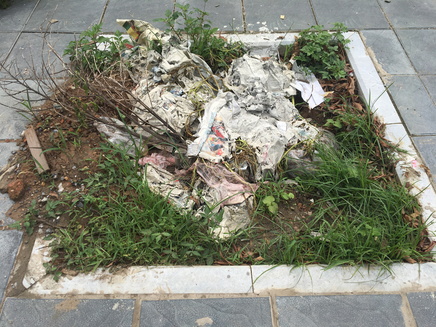 Hố trồng cây trên đường 'trăm tỷ' ở Hà Nội biến thành bãi rác ảnh 9