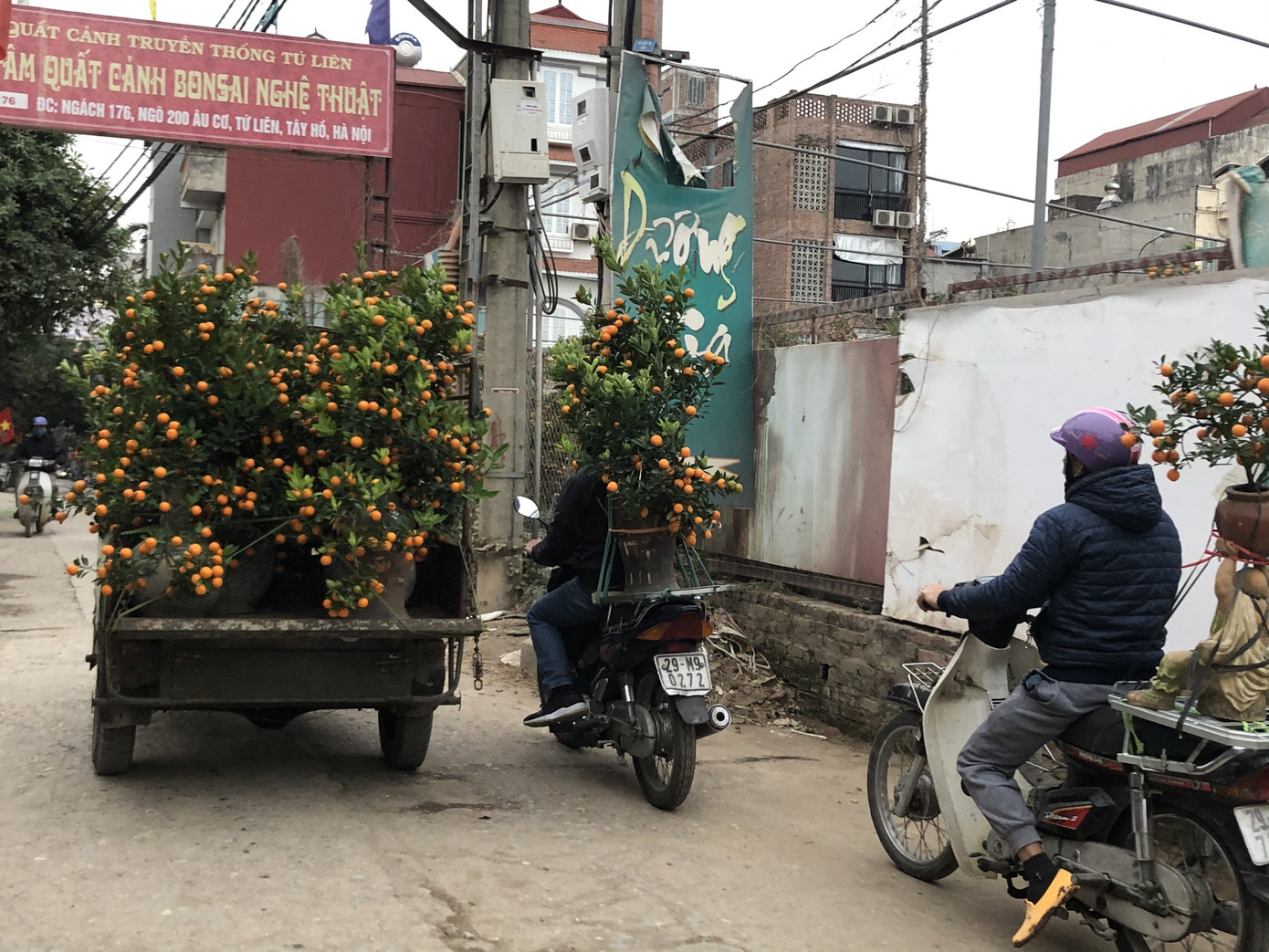 Dịch vụ chở cây cảnh ‘hốt bạc’ những ngày cận Tết ảnh 1