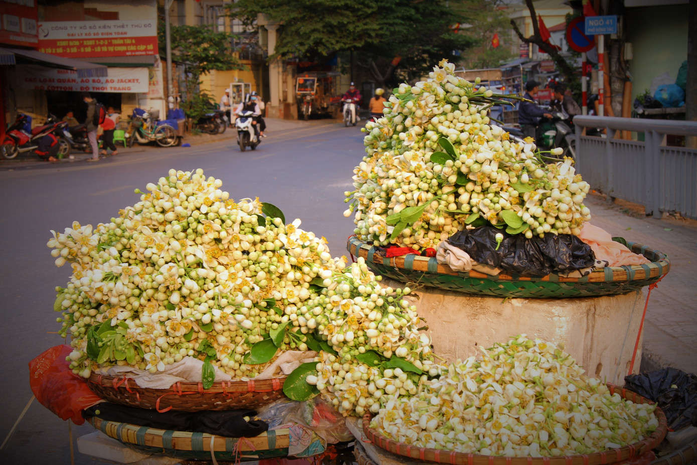 Hà Nội mùa hoa bưởi ngát hương ảnh 16