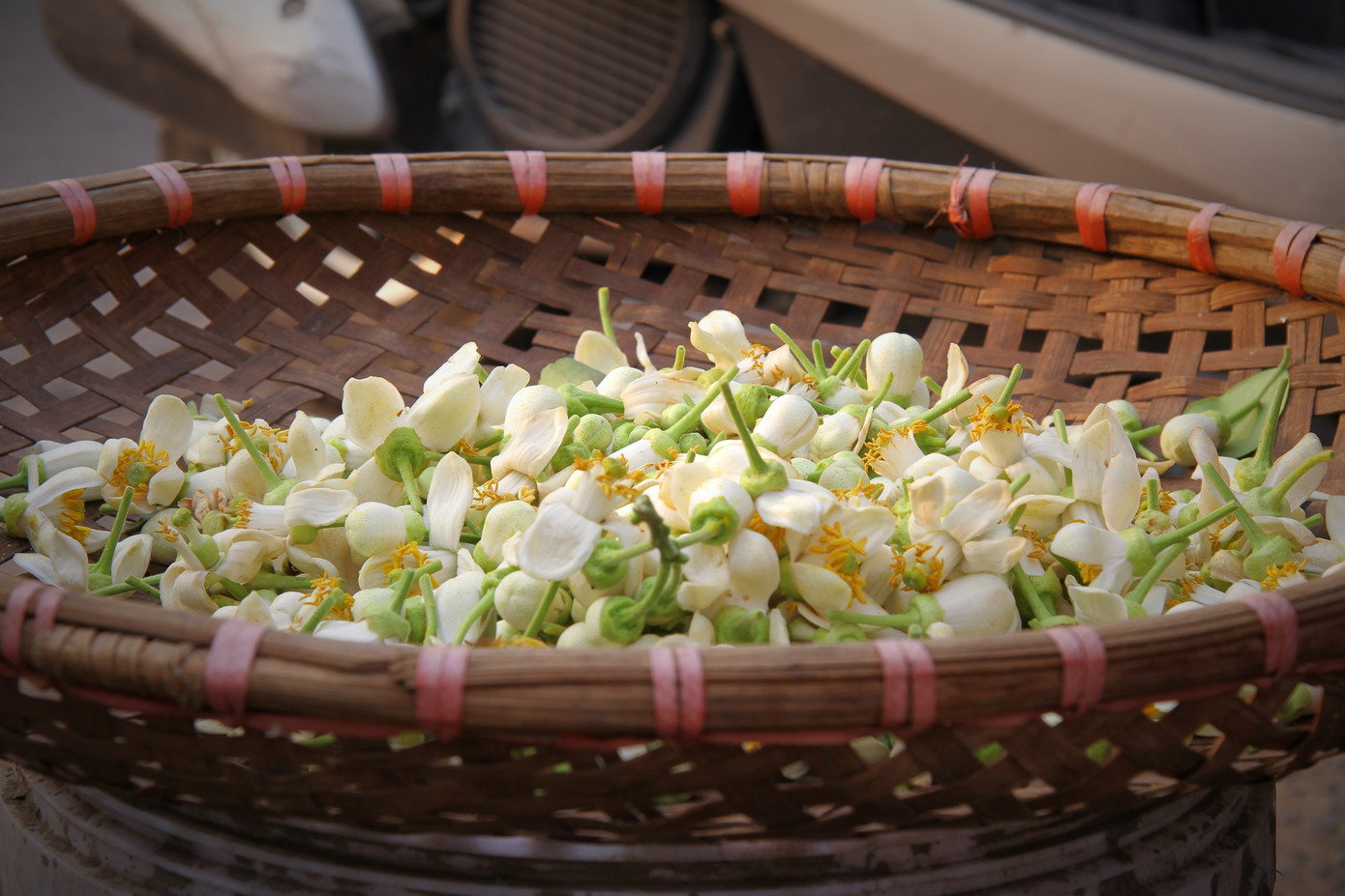 Hà Nội mùa hoa bưởi ngát hương ảnh 11