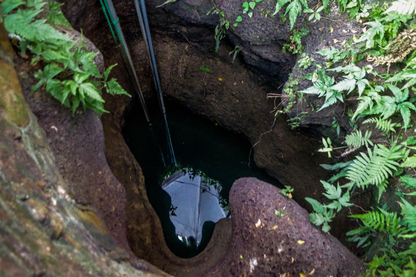 Bến xe đông đúc dòng người về quê đón Tết Dương lịch ảnh 15 Bến xe đông đúc dòng người về quê đón Tết Dương lịch ảnh 15