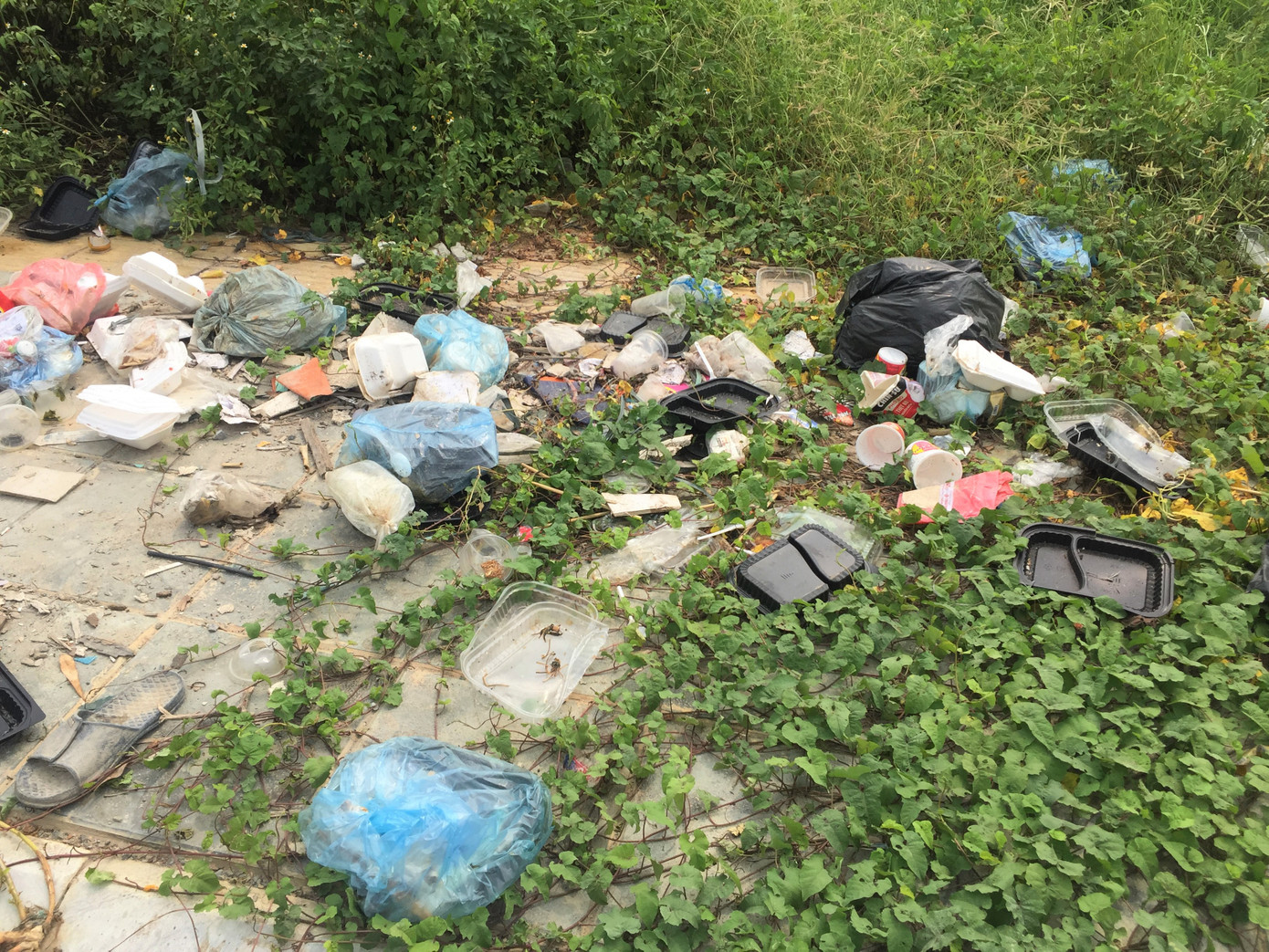 Hố trồng cây trên đường 'trăm tỷ' ở Hà Nội biến thành bãi rác ảnh 6