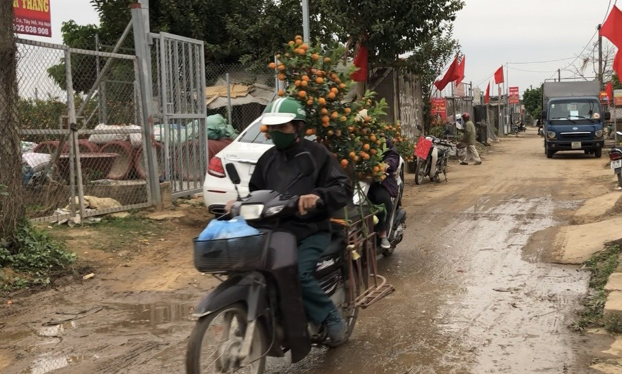 Dịch vụ chở cây cảnh ‘hốt bạc’ những ngày cận Tết ảnh 3