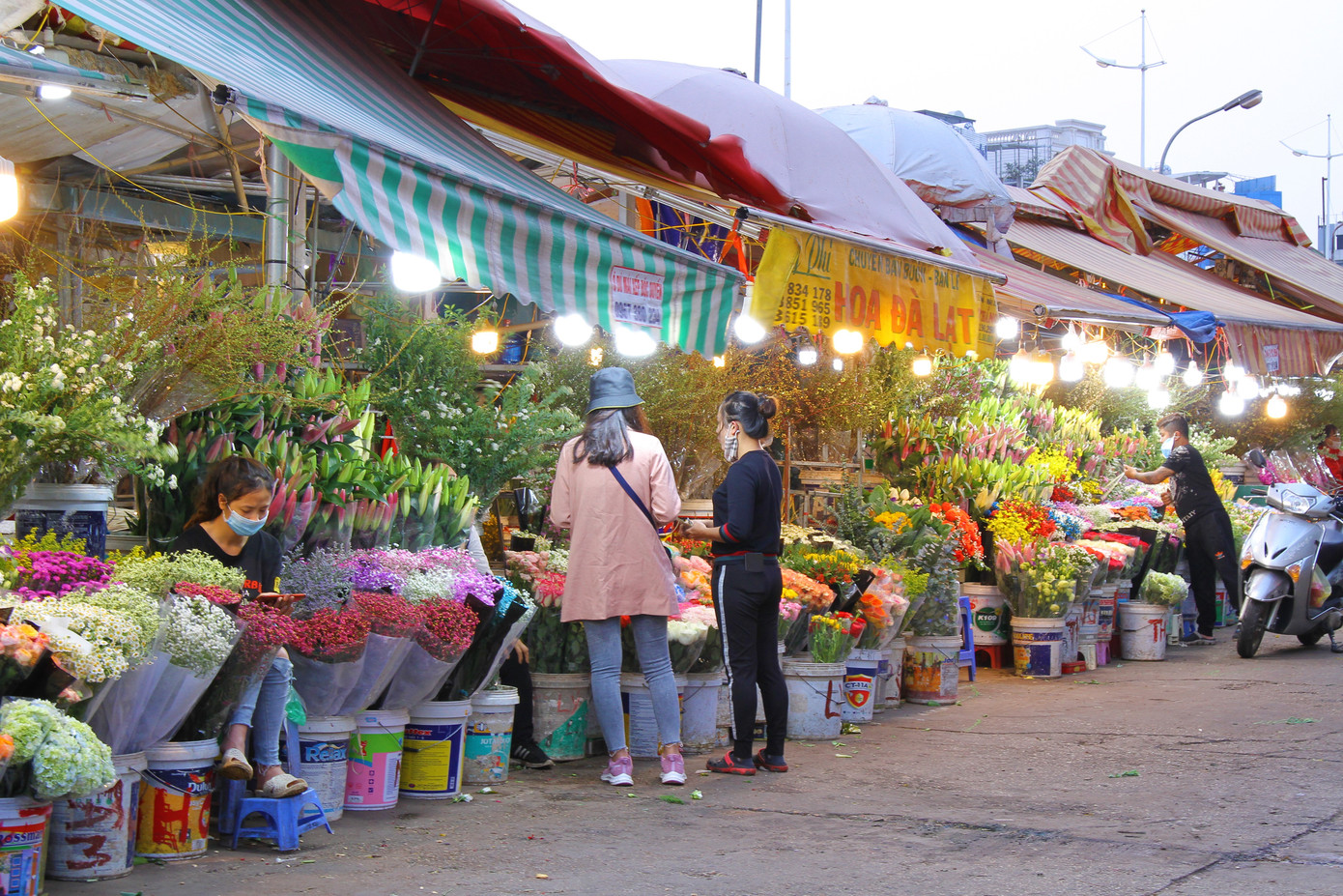 Hoa tươi sau Tết ở Hà Nội rớt giá thê thảm chưa từng thấy ảnh 4