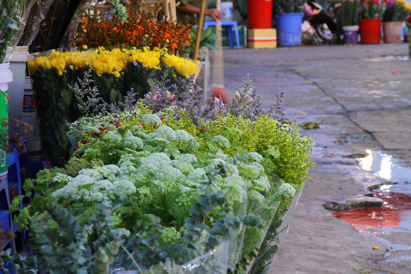 Hoa tươi sau Tết ở Hà Nội rớt giá thê thảm chưa từng thấy ảnh 6