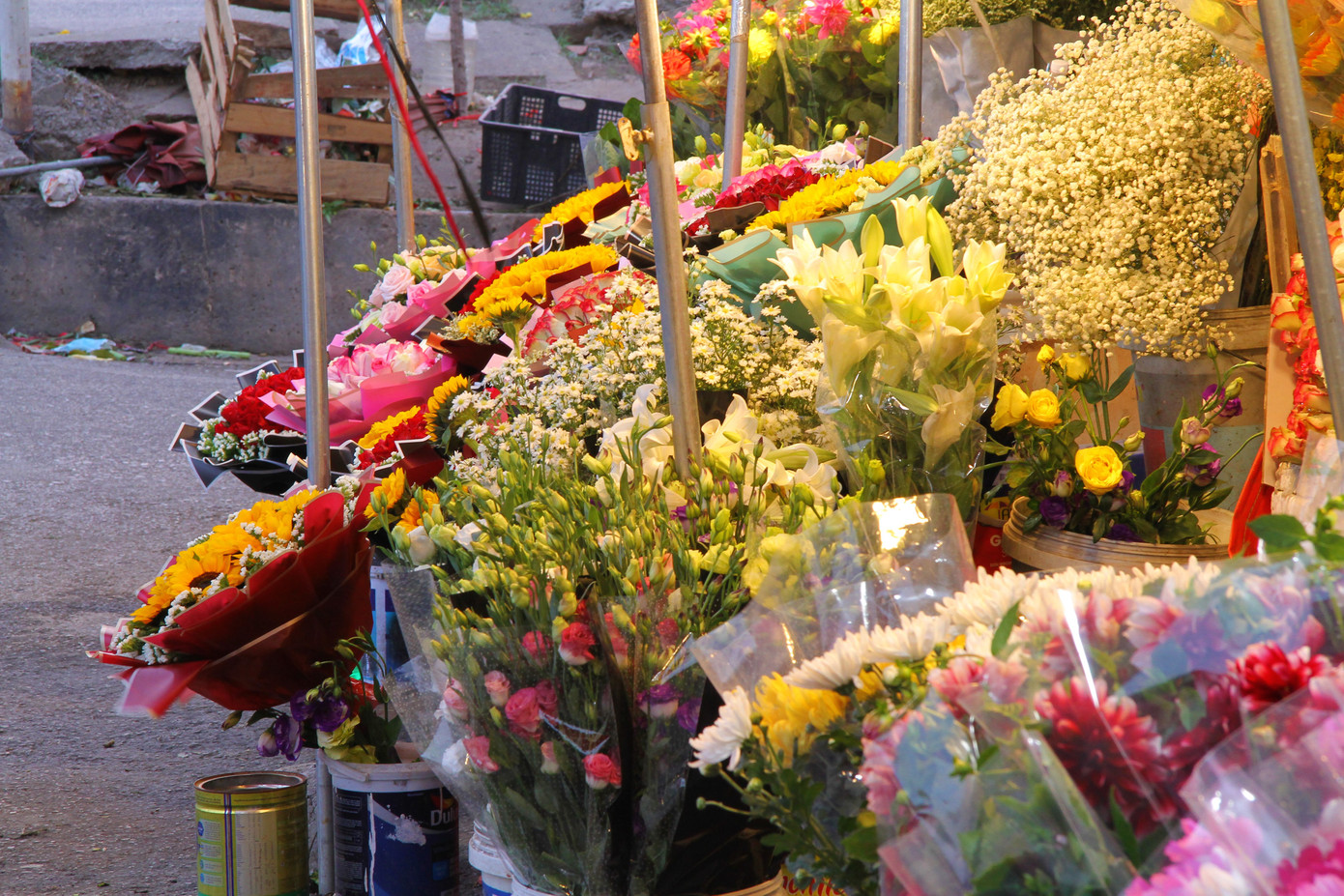 Hoa tươi sau Tết ở Hà Nội rớt giá thê thảm chưa từng thấy ảnh 3