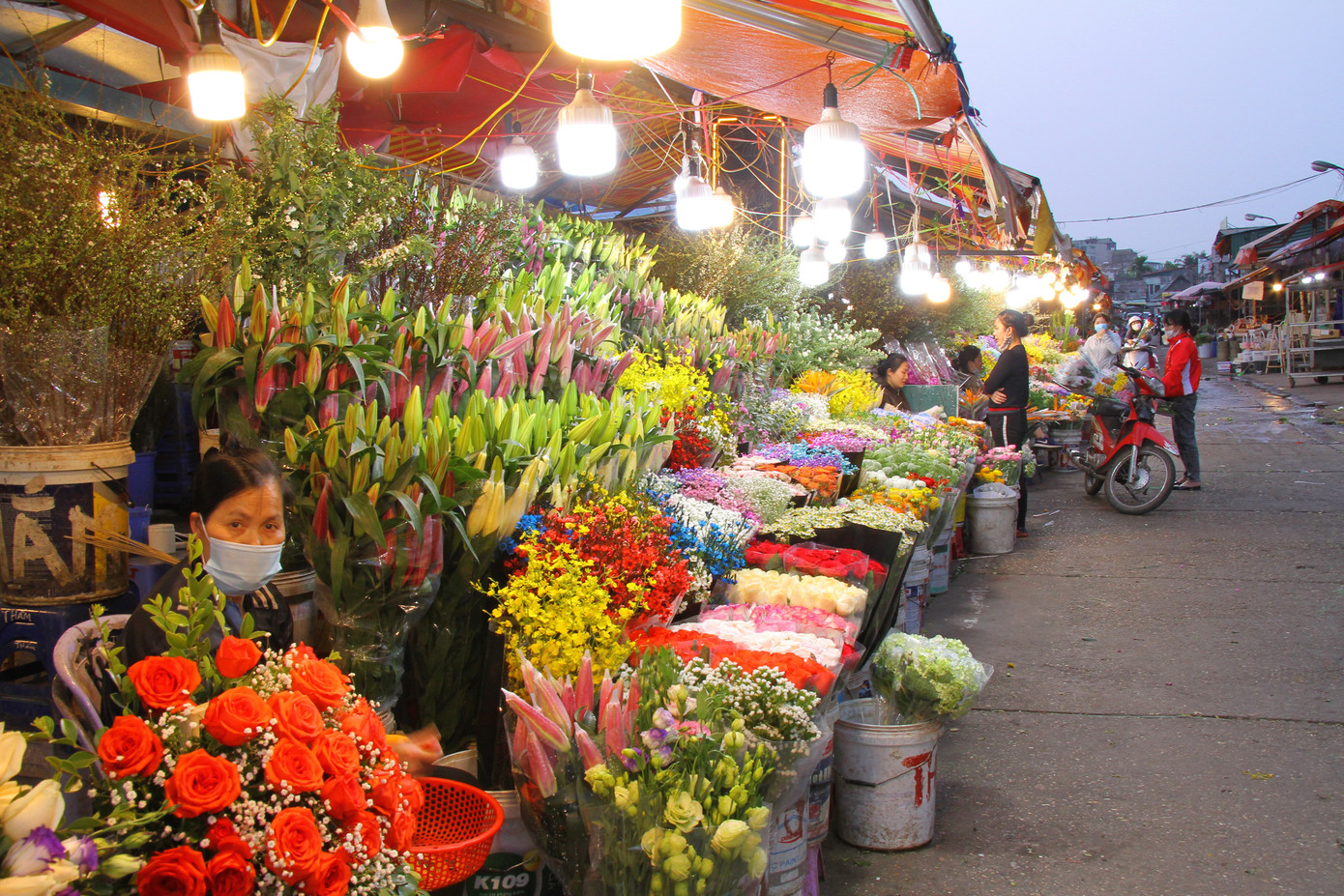 Hoa tươi sau Tết ở Hà Nội rớt giá thê thảm chưa từng thấy ảnh 2