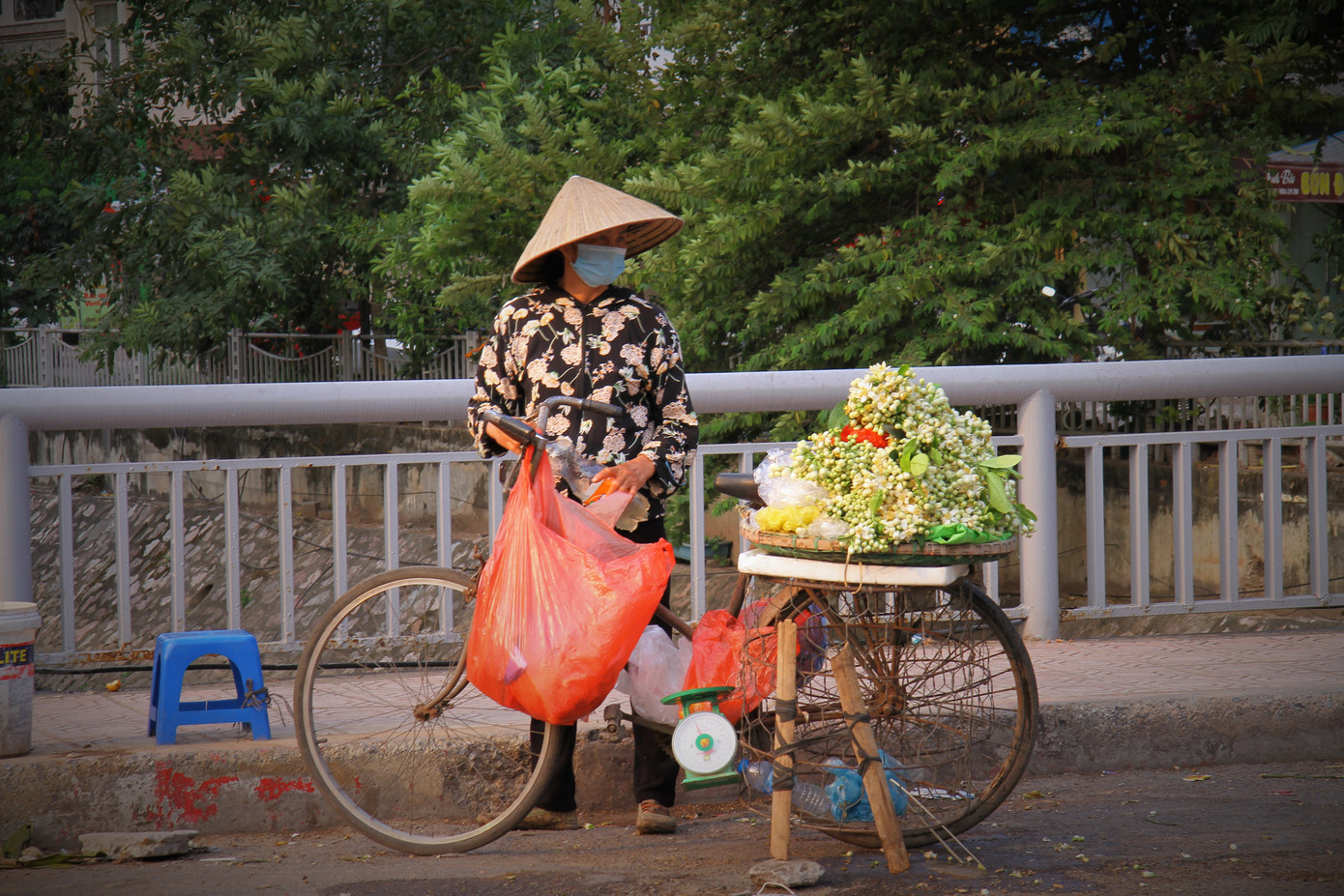 Hà Nội mùa hoa bưởi ngát hương ảnh 5