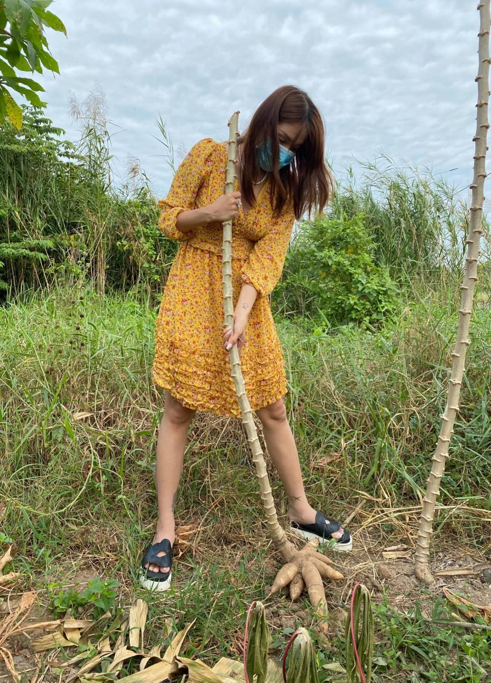 Sao Việt ở quê ăn Tết, bình dị khó nhận ra ảnh 2