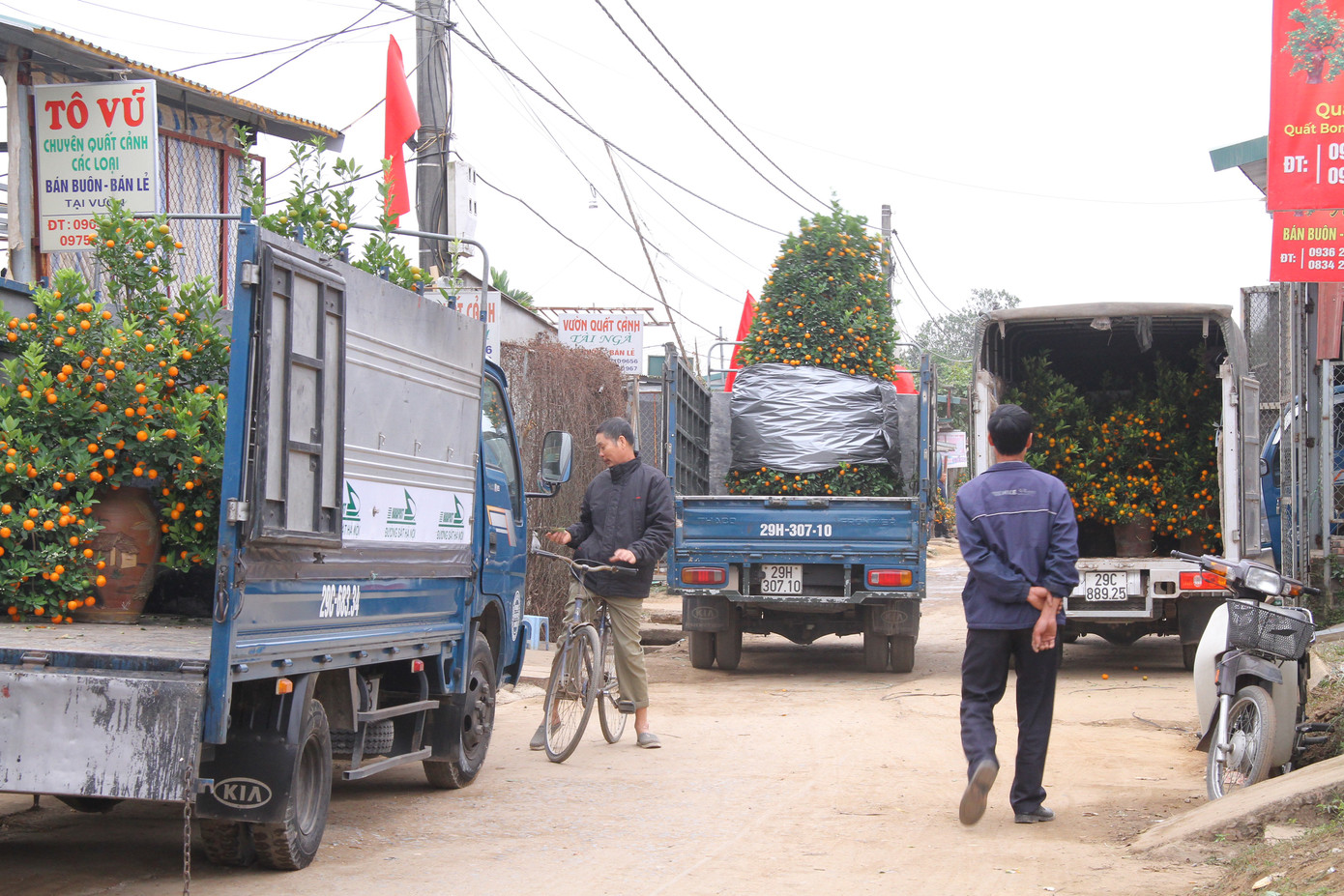 Dịch vụ chở cây cảnh ‘hốt bạc’ những ngày cận Tết ảnh 2