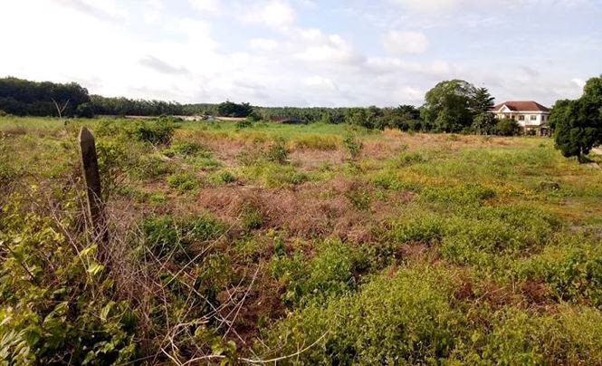 Cựu Bí thư thị xã Bến Cát sắp hầu toà vì sai phạm đất đai ảnh 2