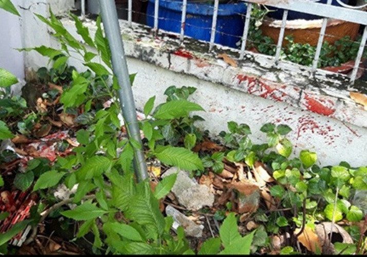 Thanh niên bị nhóm người truy đuổi đâm gục tại chỗ ảnh 2