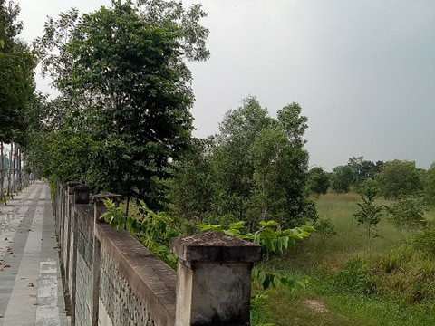 Vụ chuyển nhượng 145 ha đất công: Sân Golf hoạt động trước ngày giao đất? ảnh 6