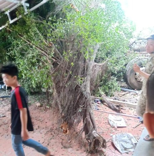 Xe container tông sập nhà dân sau khi tông nát đầu xe ben ảnh 5