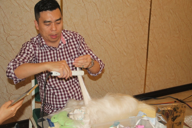 Hoa hậu Thái Lan dẫn thú cưng đến Việt Nam dự thi Hoa hậu chó ảnh 3