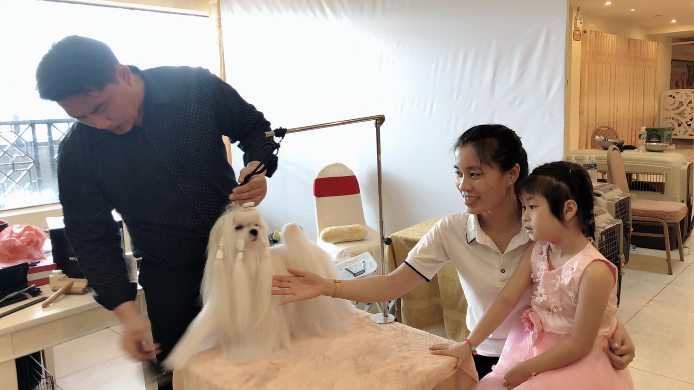 Hoa hậu Thái Lan dẫn thú cưng đến Việt Nam dự thi Hoa hậu chó ảnh 5