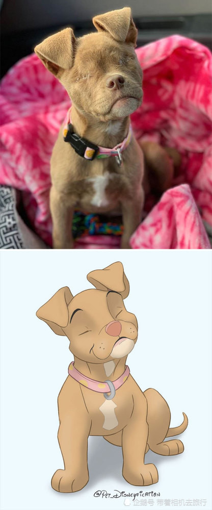 Nữ họa sĩ 9X được “săn lùng” nhờ vẽ những thú cưng tàn tật thành nhân vật hoạt hình Disney ảnh 7