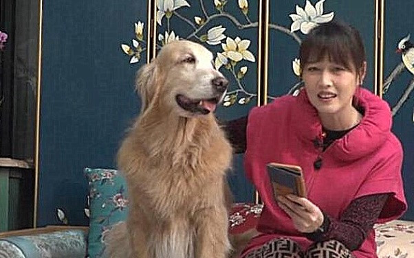 “Mỹ nhân Kim Dung” Châu Hải My độc thân ở tuổi 54, tiết lộ gây sốc: Đàn ông thật vướng víu ảnh 3