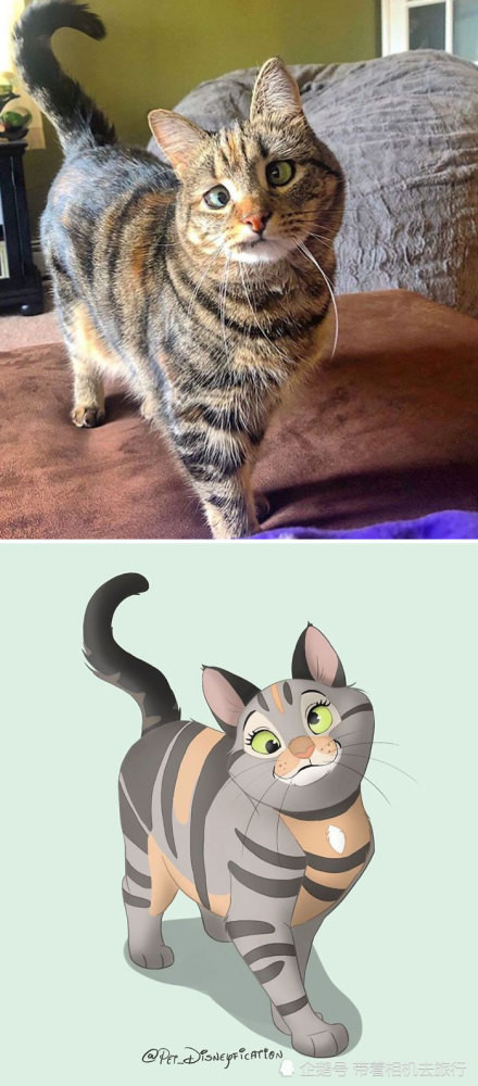 Nữ họa sĩ 9X được “săn lùng” nhờ vẽ những thú cưng tàn tật thành nhân vật hoạt hình Disney ảnh 4