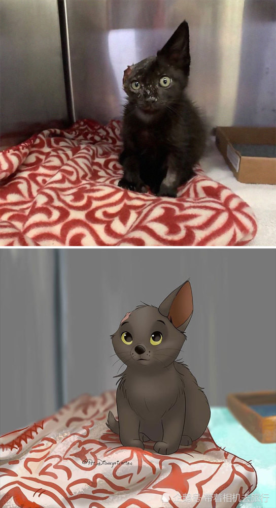 Nữ họa sĩ 9X được “săn lùng” nhờ vẽ những thú cưng tàn tật thành nhân vật hoạt hình Disney ảnh 1