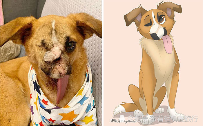 Nữ họa sĩ 9X được “săn lùng” nhờ vẽ những thú cưng tàn tật thành nhân vật hoạt hình Disney ảnh 6