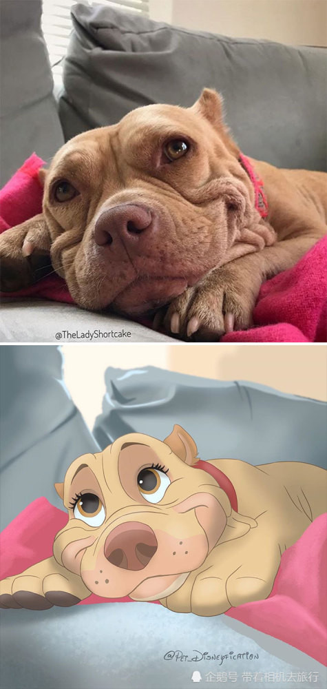 Nữ họa sĩ 9X được “săn lùng” nhờ vẽ những thú cưng tàn tật thành nhân vật hoạt hình Disney ảnh 2