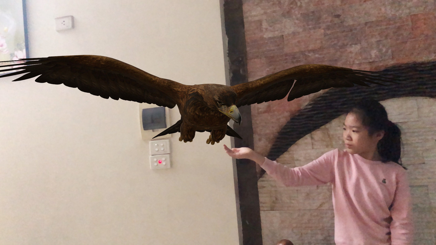 Cách mời thú hoang vào nhà chụp ảnh chung ảnh 6