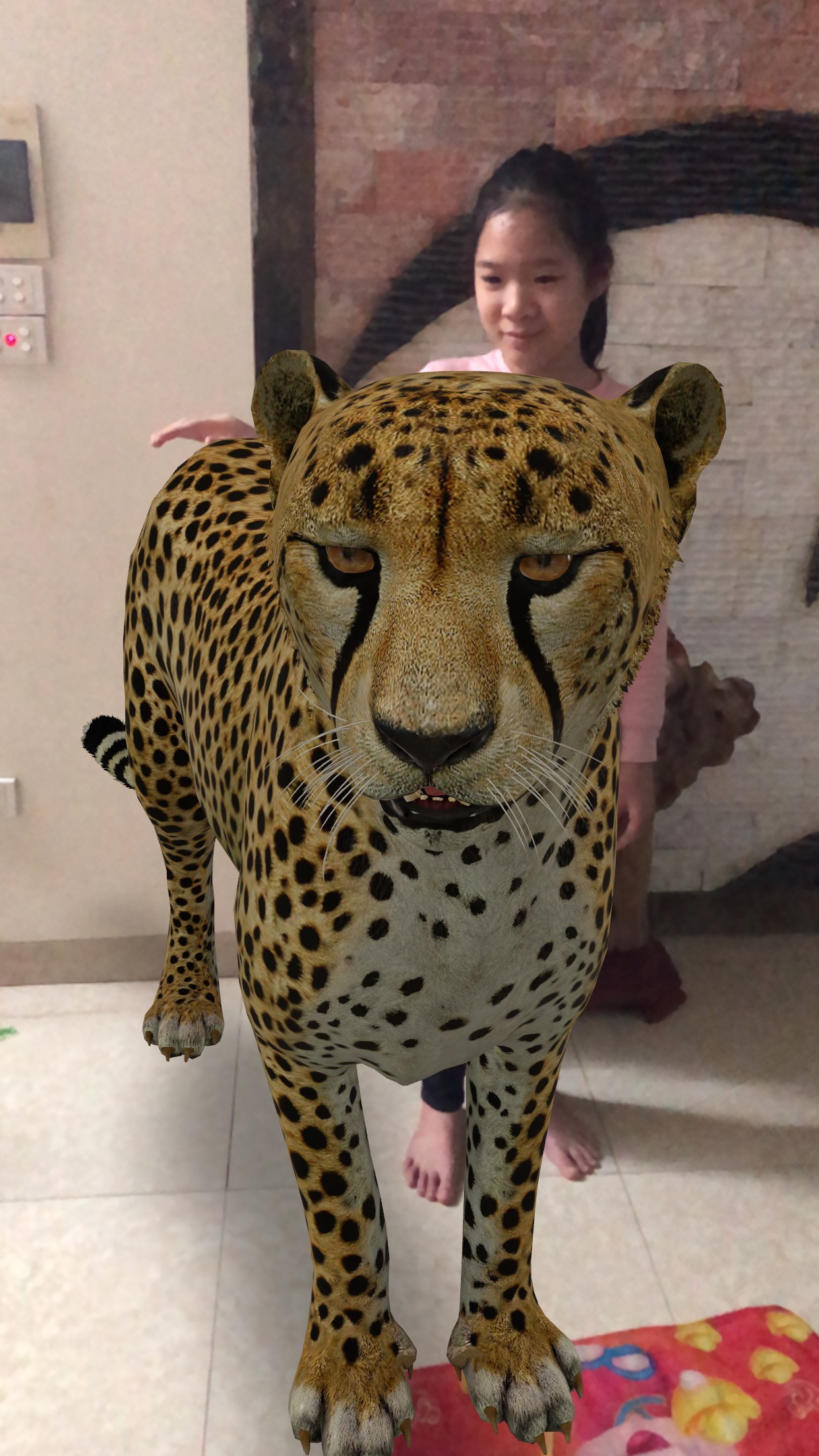 Cách mời thú hoang vào nhà chụp ảnh chung ảnh 3