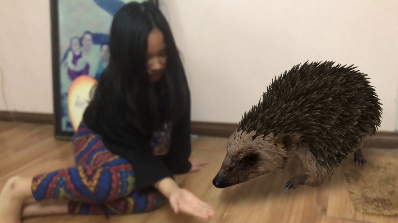 Cách mời thú hoang vào nhà chụp ảnh chung ảnh 7