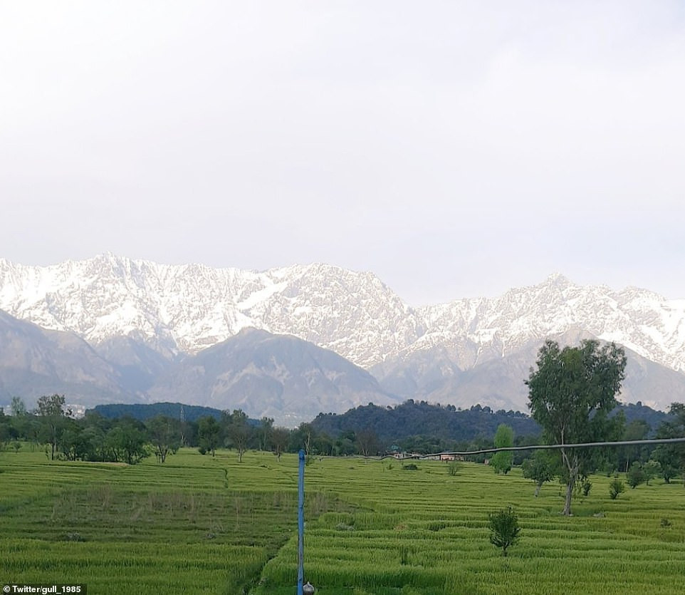 Nhìn thấy dãy Himalaya từ Ấn Độ nhờ phong tỏa chống dịch COVID - 19 ảnh 8