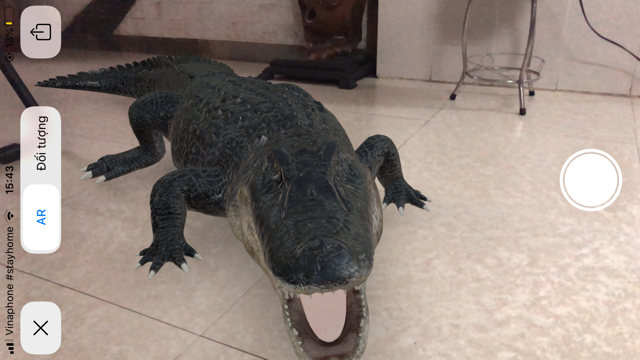 Cách mời thú hoang vào nhà chụp ảnh chung ảnh 5