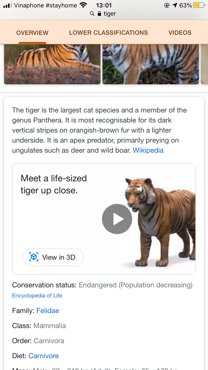 Cách mời thú hoang vào nhà chụp ảnh chung ảnh 2
